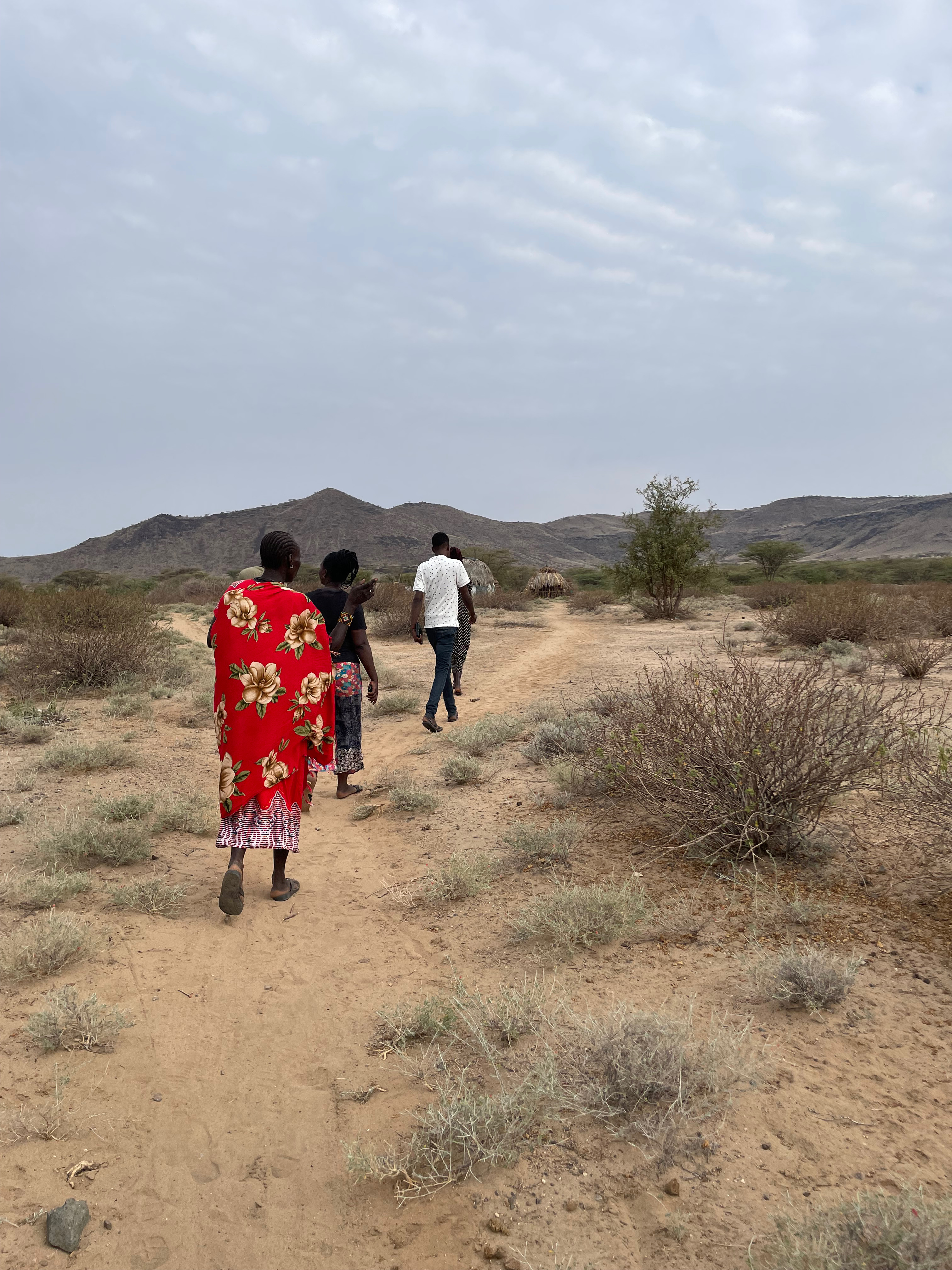 WPO Turkana pastoralists