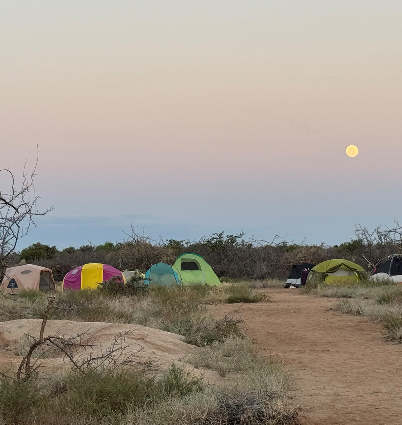 Anna Tavormina research tent camp