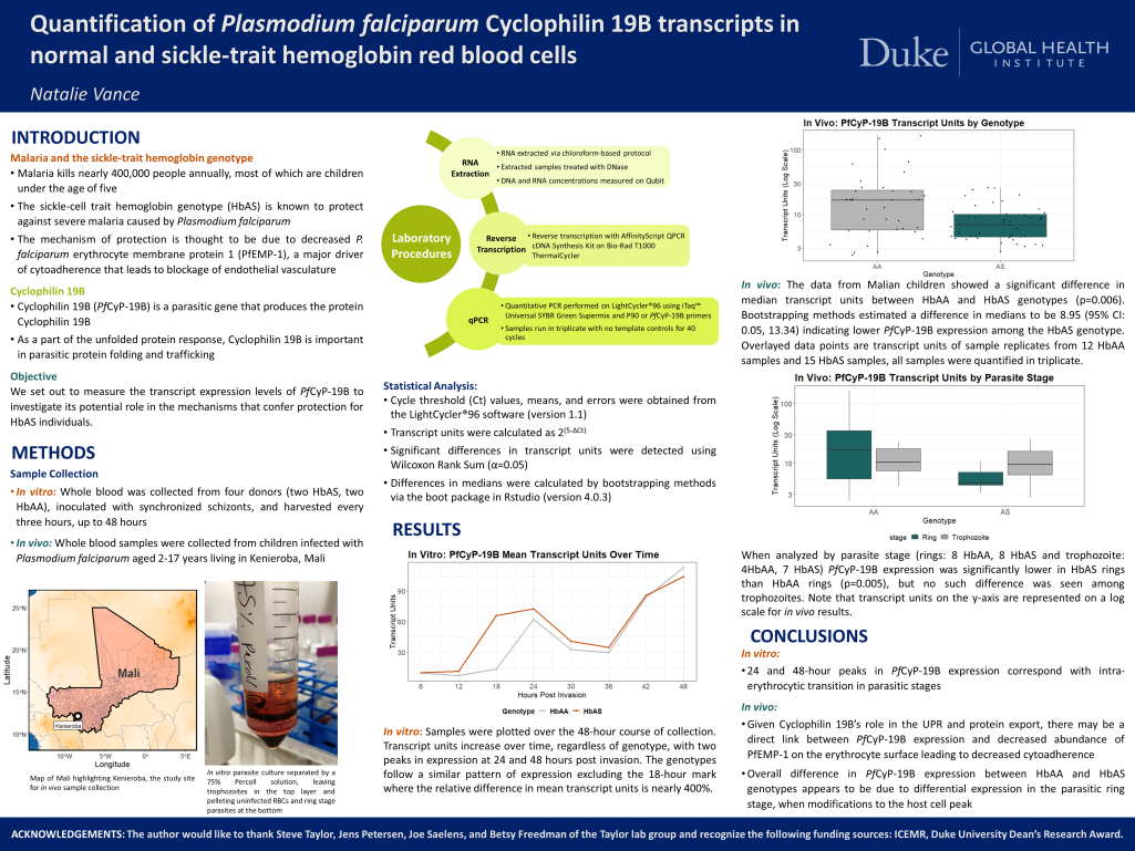 Scientific poster describing the research project.