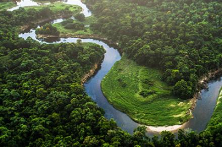 River in the Amazon forest