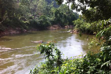 Riverside land in Udugama, Sri Lanka