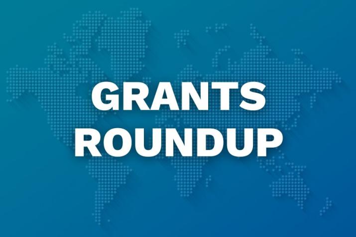 Grants Roundup
