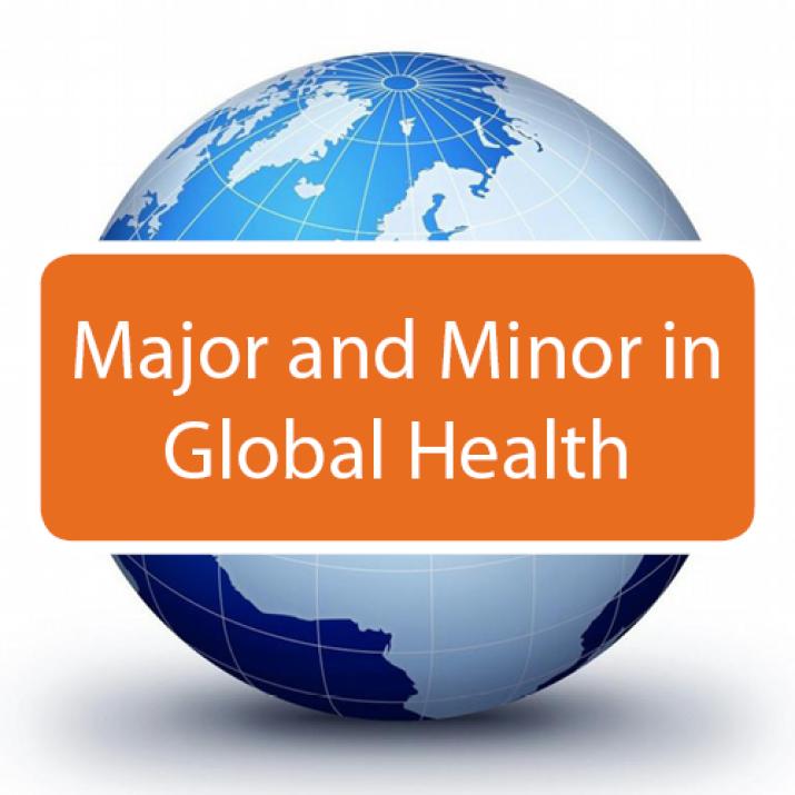 major/minor in global health