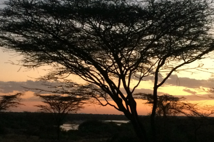 Prudhomme O'Meara's team visited Turkana, in northern Kenya, in 2019, to collaborate with colleagues at Turkana Basin Institute, where they slept under the stars and woke to this sunrise one morning. (Photo courtesy of Wendy Prudhomme-O'Meara).