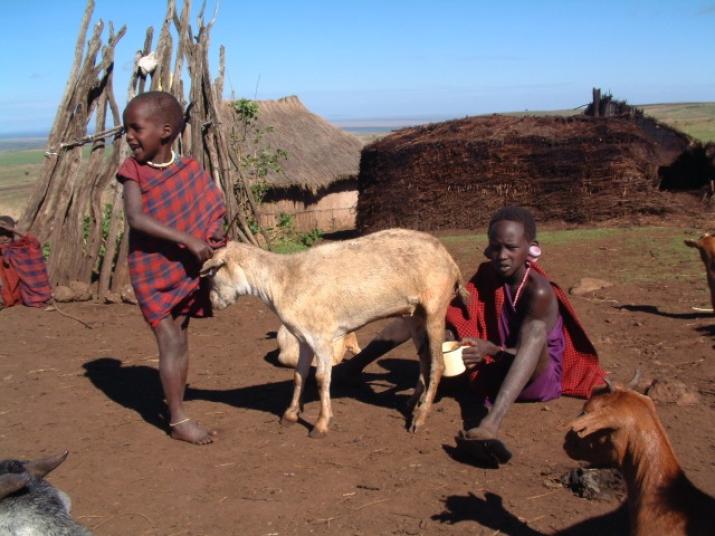 African children with animals