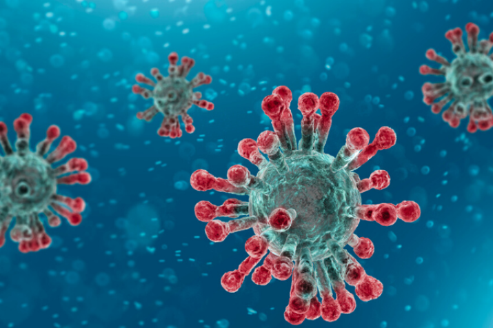 Microscopic view of a coronavirus. 