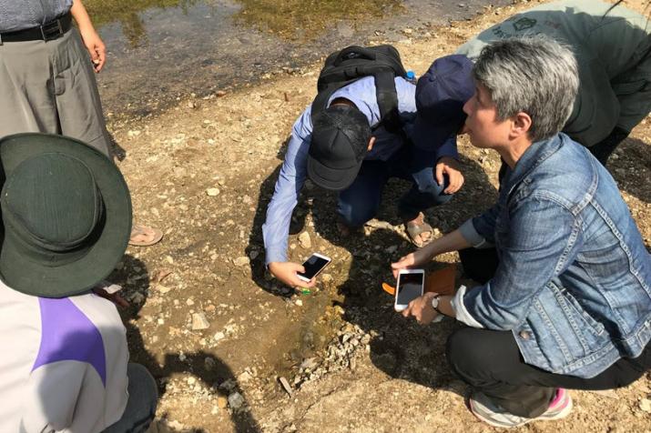 Nyunt examines mosquito larvae