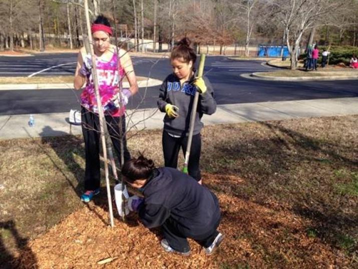 Planting Trees