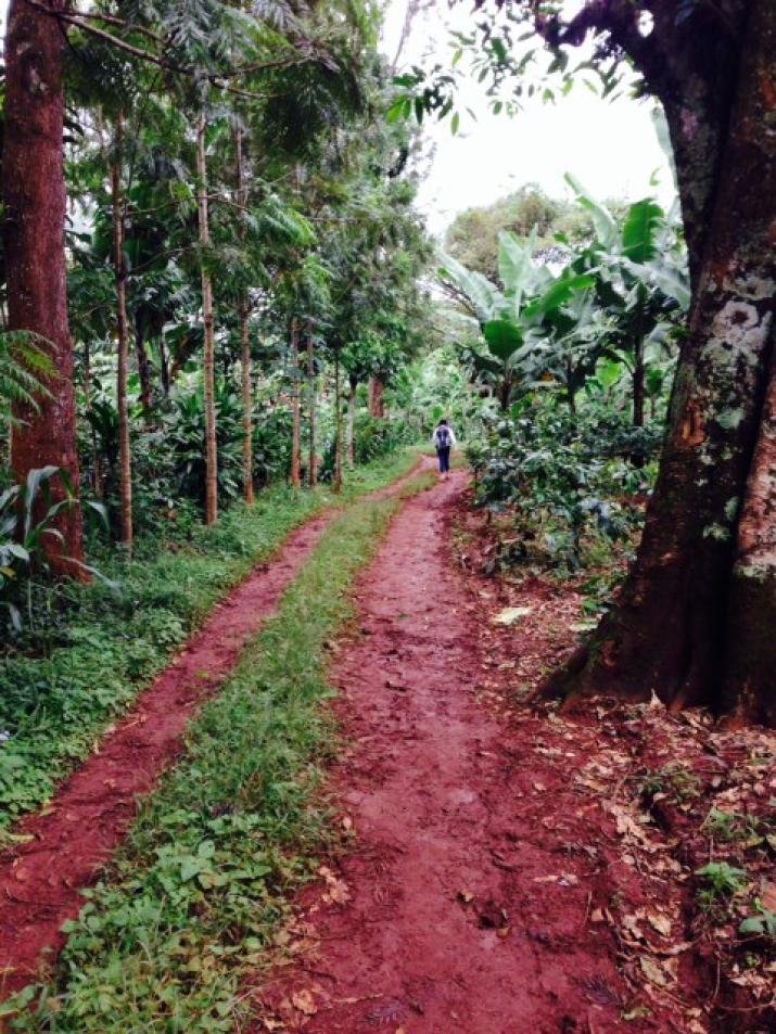 mwika village
