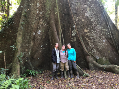 Team Members in front of Tree