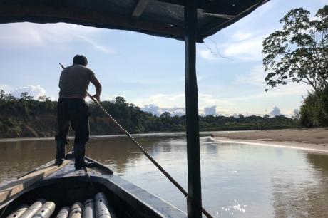 Scene from the Madre de Dios River