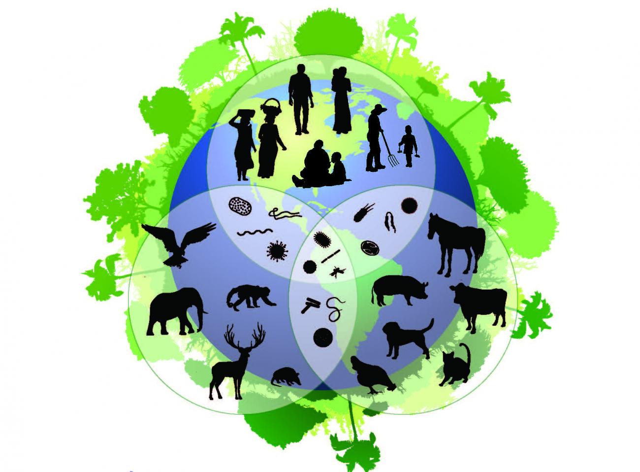 Biological Diversity Biodiversity Icon Clip Art Library - Gambaran