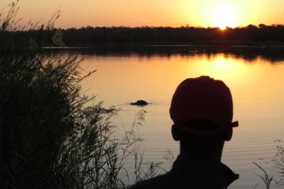 A hippopotamus in Lake Panic, South Africa